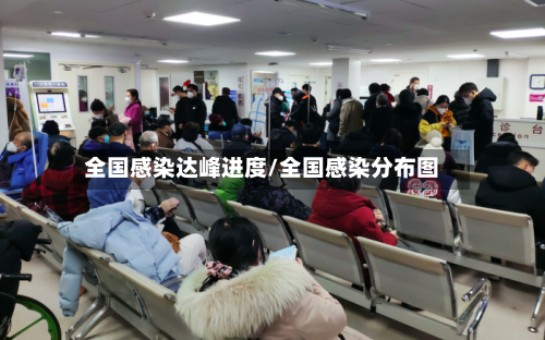 全国感染达峰进度/全国感染分布图-第2张图片