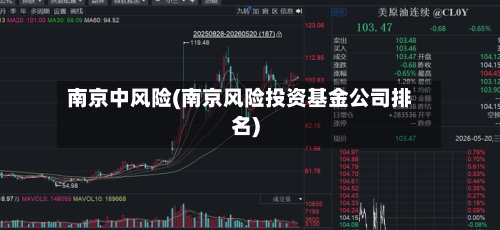 南京中风险(南京风险投资基金公司排名)-第2张图片
