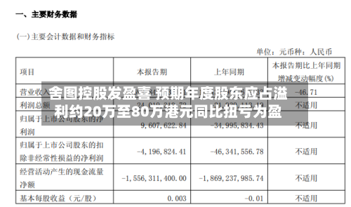 舍图控股发盈喜 预期年度股东应占溢利约20万至80万港元同比扭亏为盈-第2张图片