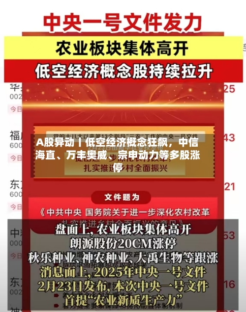 A股异动丨低空经济概念狂飙，中信海直、万丰奥威、宗申动力等多股涨停-第2张图片