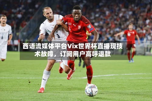 西语流媒体平台Vix世界杯直播现技术故障	，订阅用户高呼退款-第2张图片