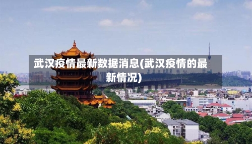 武汉疫情最新数据消息(武汉疫情的最新情况)-第3张图片