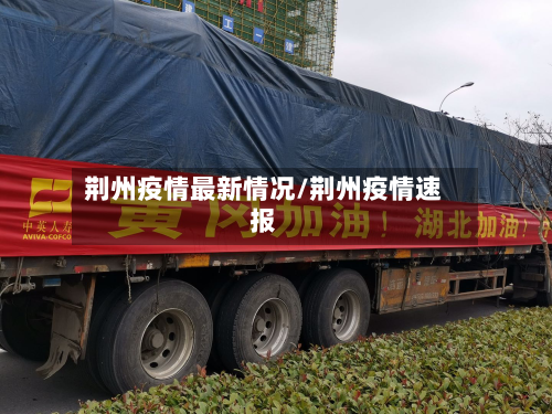 荆州疫情最新情况/荆州疫情速报