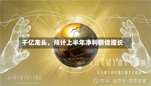 千亿龙头，预计上半年净利翻倍增长-第3张图片